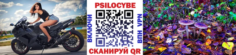 Галлюциногенные грибы GOLDEN TEACHER  Купить  Волжск 
